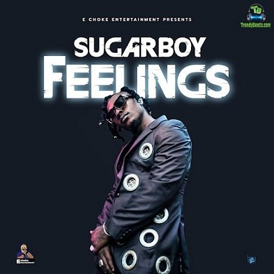 Sugarboy - Feelings
