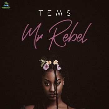 Tems - Mr Rebel