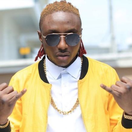 Terry g
