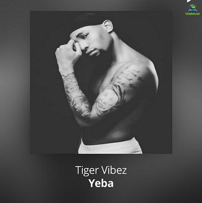 Tiger Vibez - Yeba