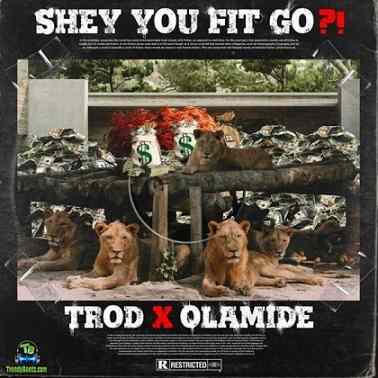 Trod - Shey You Fit Go? ft Olamide