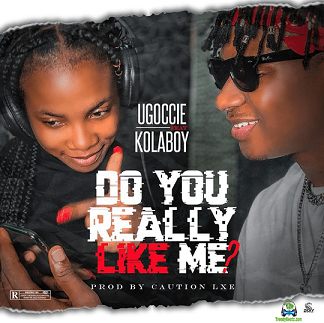 Ugoccie - Do You Really Like Me ft Kolaboy