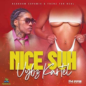 Vybz Kartel - Nice Suh