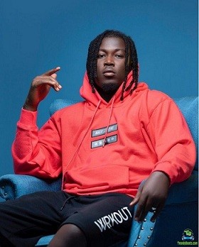 Wisa Greid