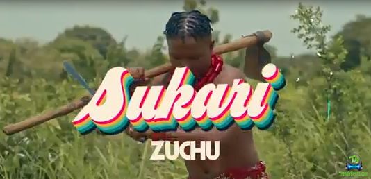 Zuchu