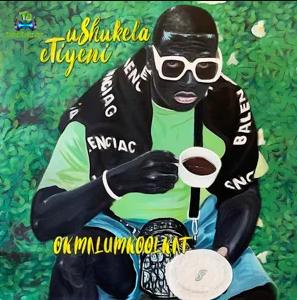 Okmalumkoolkat - Came With The Sjambok